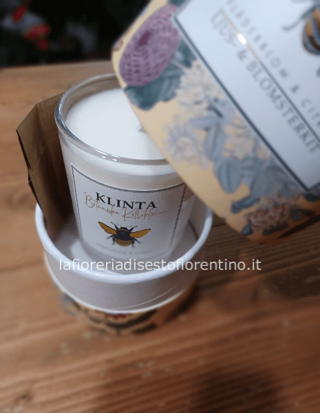 Candela profumata con semi pianta