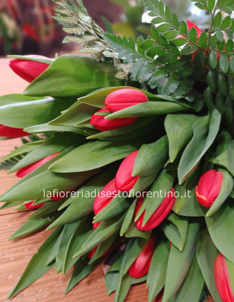 Mazzo red tulipa
